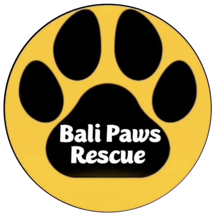 Bali Paws Rescue